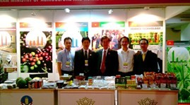 Vietnam actively prepares for ASEAN-India Business Fair 2012 - ảnh 1